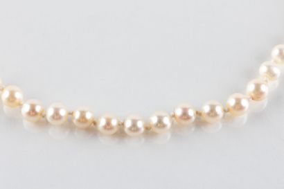 Collier composé de 61 perles de culture,...