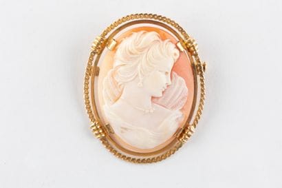 Broche en or jaune centrée d'un camée coquillage...