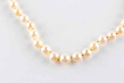 Collier composé de 99 perles de culture en...