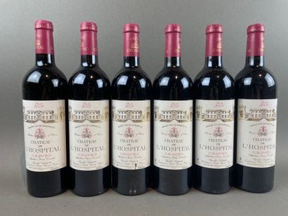 11 btls Château de l'Hospital 2004 - Graves...
