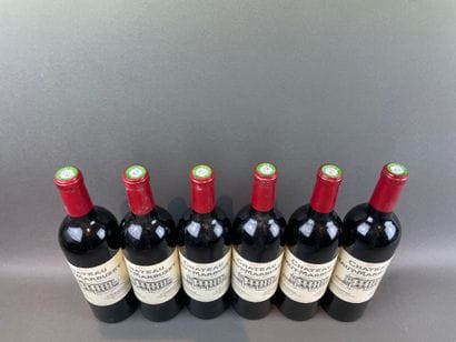 6 btls Château Haut-Marbuzet 2011 - Sain...