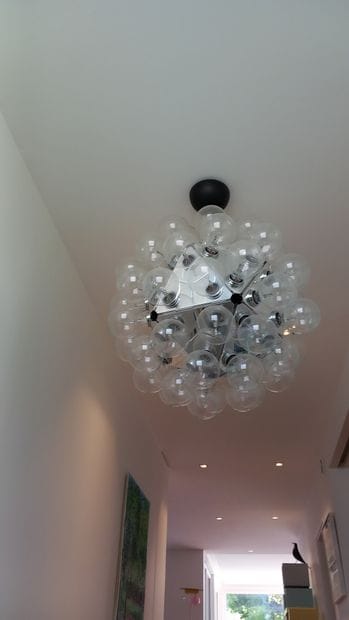 Achille CASTIGLIONI (1918 - 2002)
Taraxacum...