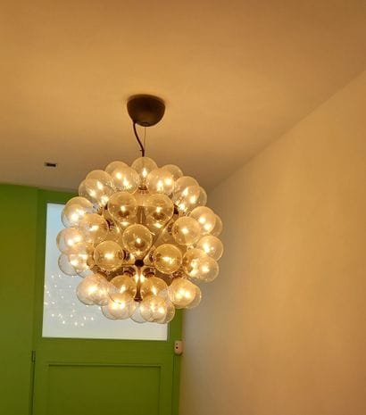 Achille CASTIGLIONI (1918 - 2002)
Taraxacum...