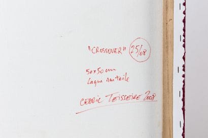 Cédric TEISSEIRE (Né en 1968)
« Crossover...