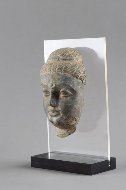 REGION DU GANDHARA - STYLE GANDHARA
Tête...