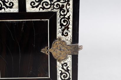 Two-door cabinet made of ebony (Diospyros...