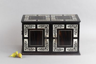 Two-door cabinet made of ebony (Diospyros...