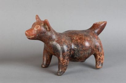 Xoloitzcuintli. Depiction of a hairless dog...