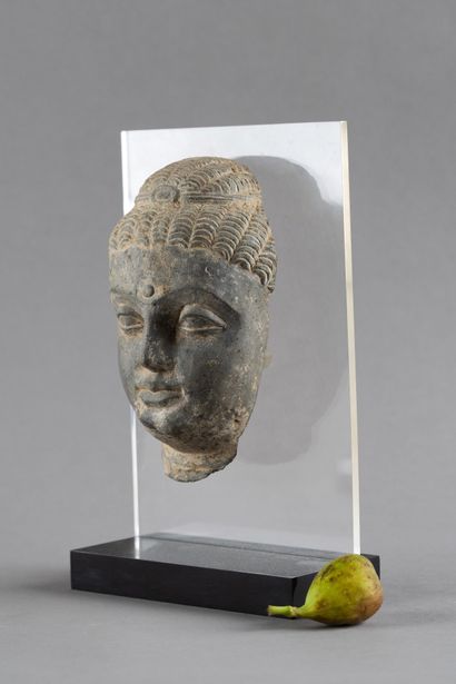 REGION DU GANDHARA - STYLE GANDHARA
Tête...