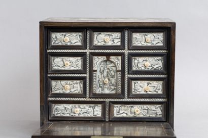 Small cabinet in ebony (Diospyros crassiflora)...