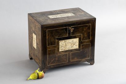 Small cabinet in ebony (Diospyros crassiflora)...