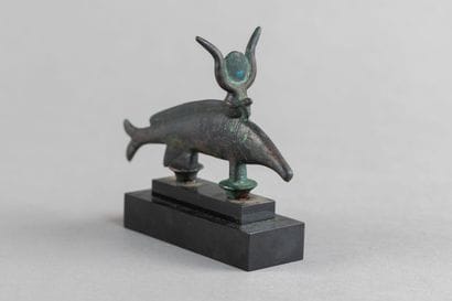 Oxyrhynchus. Bronze. 
Egypt. Late Period.
L....