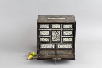 Small cabinet in ebony (Diospyros crassiflora)...