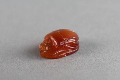 A scarab with a star-shaped motif engraved...