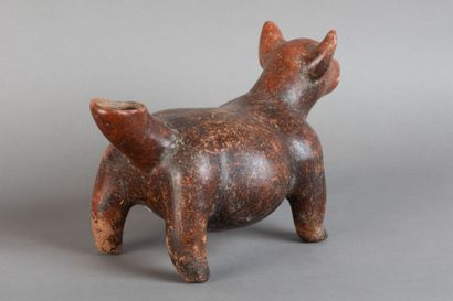 Xoloitzcuintli. Depiction of a hairless dog...
