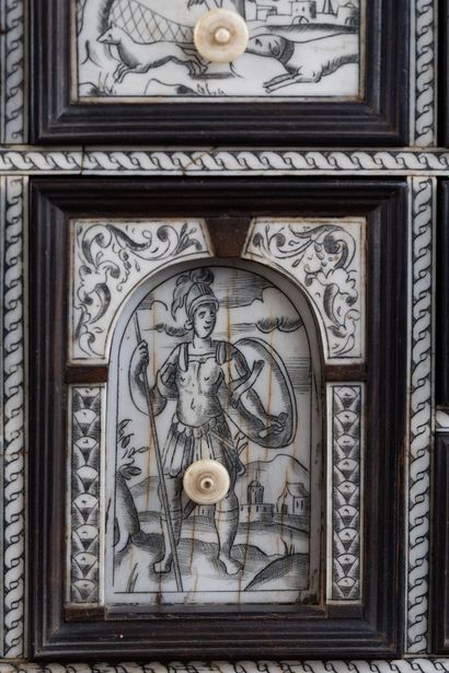 Small cabinet in ebony (Diospyros crassiflora)...