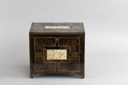Small cabinet in ebony (Diospyros crassiflora)...