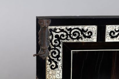 Two-door cabinet made of ebony (Diospyros...