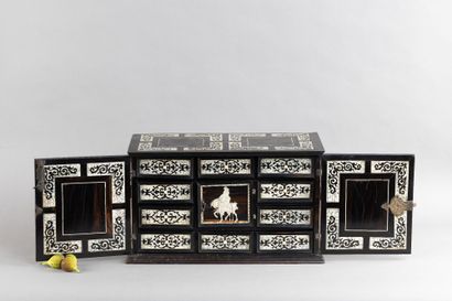 Two-door cabinet made of ebony (Diospyros...