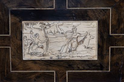 Small cabinet in ebony (Diospyros crassiflora)...