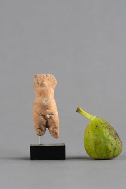 Torse de dieu eros enfant. Terre cuite. Lacunes...