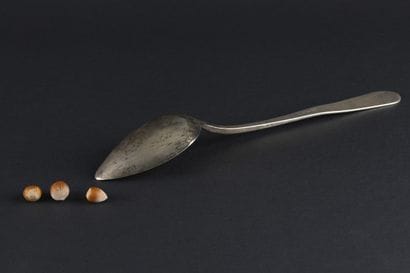 FOREIGN SILVER (800) STEW SPOON.
Probably...