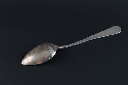 FOREIGN SILVER (800) STEW SPOON.
Probably...