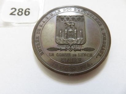Médaille - Entrée du duc d'Angoulème à Bordeaux,...
