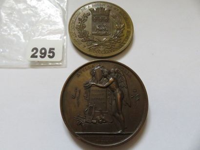 Lot de 2 médailles en bronze - Hommage à...