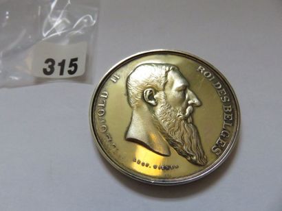 Médaille belge - Léopold II et école de dessin,...