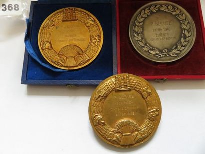 Lot de 3 médailles de la Société Industrielle...