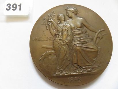 Médaille - Hommage à Jules Méline 1892 -...