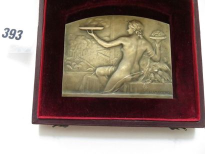 Plaquette- Algérie 1930 - Commission des...