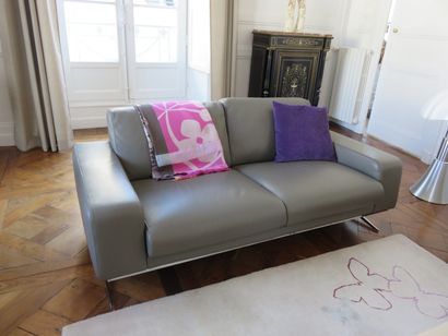 ROCHE BOBOIS Canapé en cuir gris