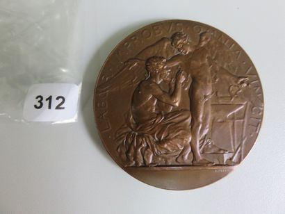 Médaille - Ballons Dirigeables, expérience...
