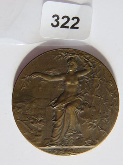 Médaille - Journal 