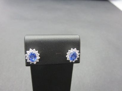 Paire de boucles d'oreilles or rhodié 750...