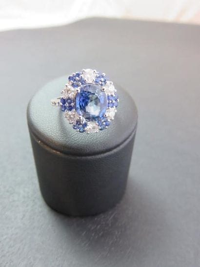Bague or gris 750 millièmes sertie d'un saphir...
