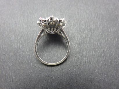 Bague or gris 750 millièmes et platine, forme...