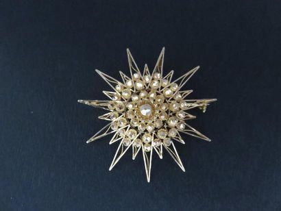 Broche pendentif or jaune 750 millièmes,...
