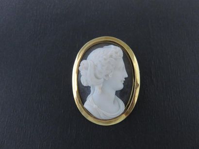 Broche pendentif camée agate au profil de...