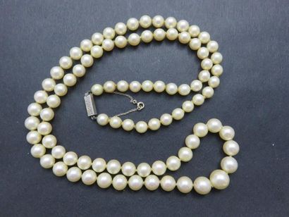 Collier chute composé de 91 perles de culture...