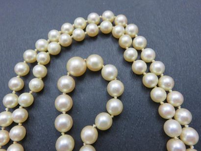 Collier composé 85 perles de culture en chute,...