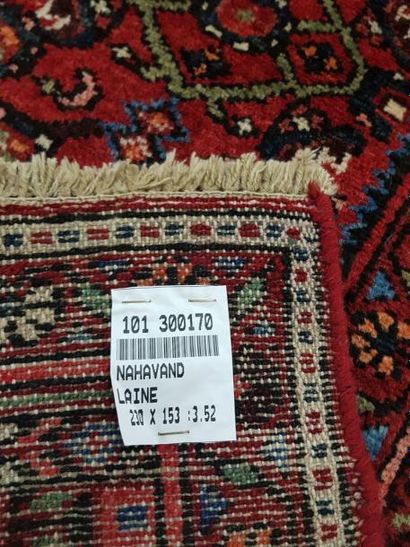 Tapis d'Iran NAHAVAND en laine points noués...