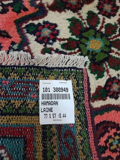 Tapis d'Iran HAMADAN en laine points noués...