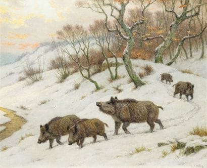 RÖTIG Georges Frédéric, 1873-1961 Sangliers...