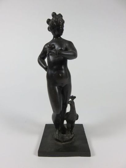 Ecole du XIXe siècle Vénus au paon et à la...