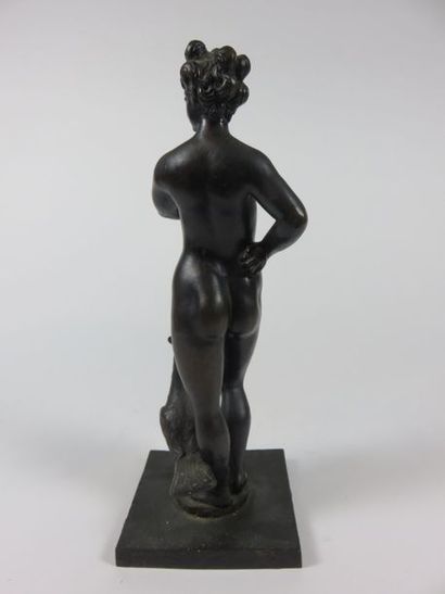 Ecole du XIXe siècle Vénus au paon et à la...