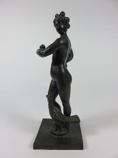 Ecole du XIXe siècle Vénus au paon et à la...