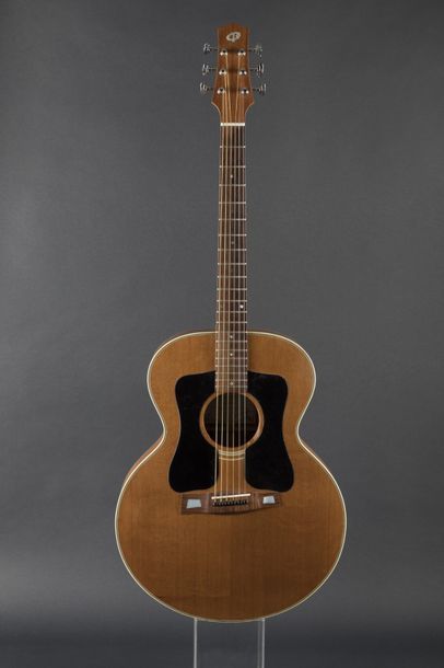 Très Jolie guitare acoustique folk, type...